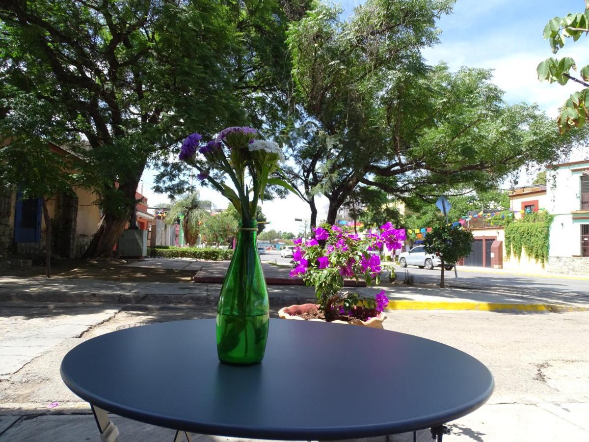 Alojamiento Jalatlaco - Car Rental! Estacionamiento En La Calle Sujeto A Disponibilidad Oaxaca Buitenkant foto